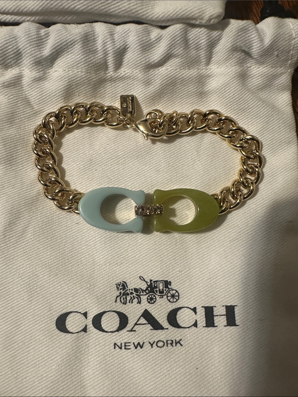 Coach Gold-Tone Chain Bracelet with Blue and Olive Resin Links